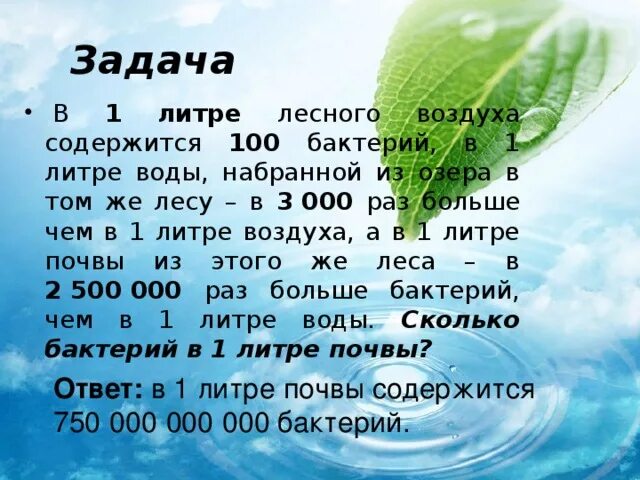 Значение бактерий в природе и жизни человека. Литр воздуха вода. В 1 литре воды. Кластер значение бактерий в природе и жизни человека.