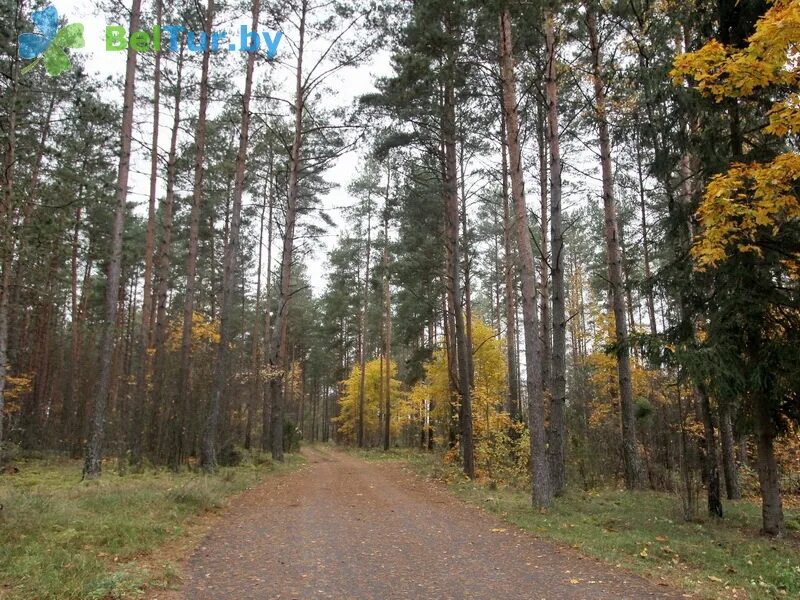 Вилейка река вилия. Река вилия. Ропшинский парк озеро. Река вилия литва. Река вилия.