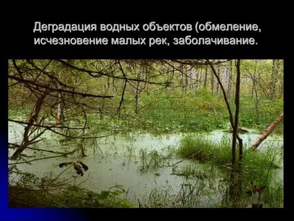 Исчезающие малый