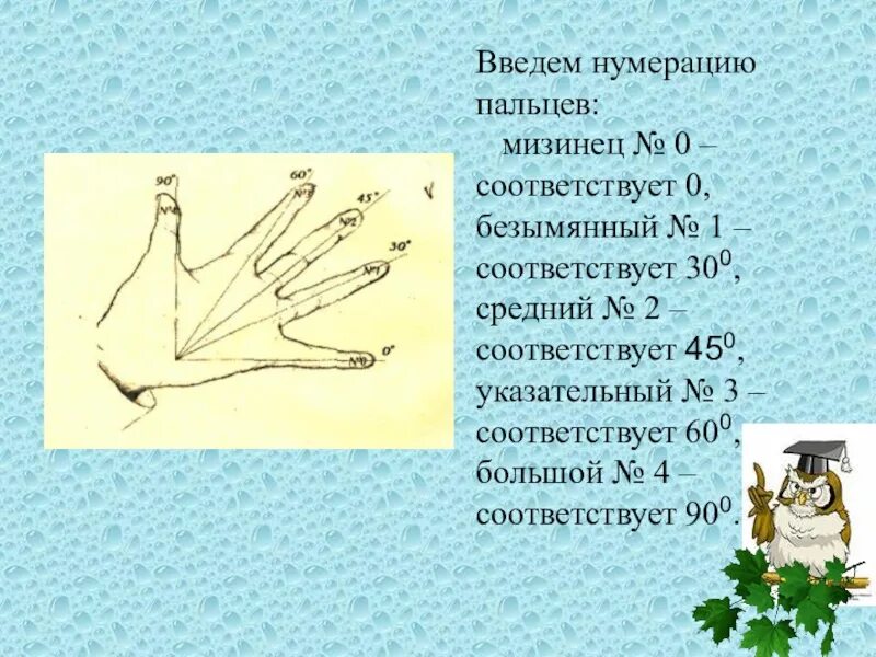 Пронумерованные пальцы. Правильная нумерация пальцев. Нумерация пальцев на руке. Ладошка с названиями пальцев.