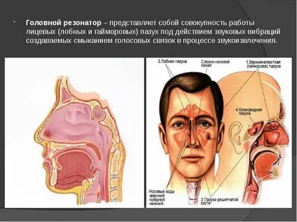 Где находится петь