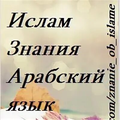 Знания на арабском языке
