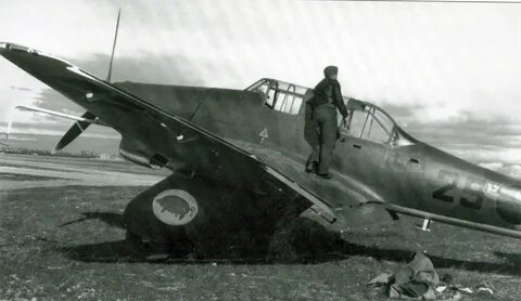 29 88 4 6