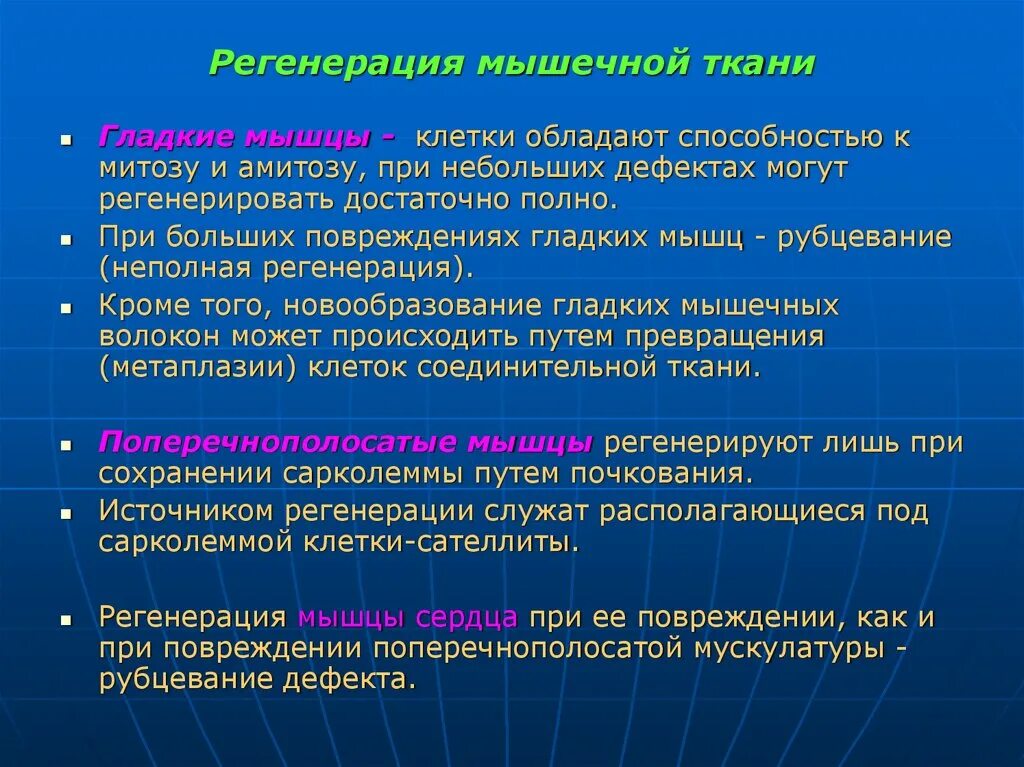 Способность мышцы. Репаративная регенерация гладкой мышечной ткани. Регенерация различных типов мышечных тканей. Регенерация скелетной мышечной ткани. Регенерация поперечно-полосатой мышечной ткани.