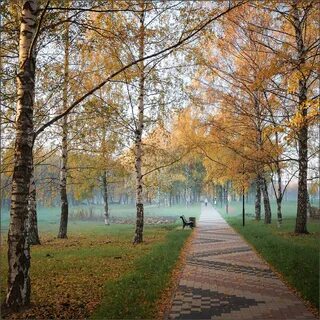 Парк утром