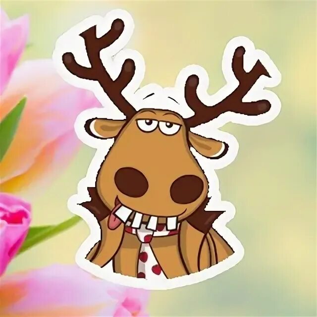 Прослушка красные баки. Подслушка красные баки. Кафе ниробаку красные баки. Подслушано кр баки. Подслушано красные.