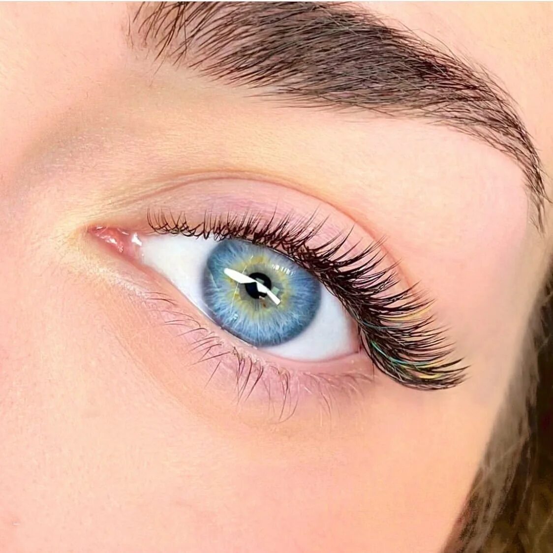 ресницы 2д эффект кайли. наращивание ресниц 2д изгиб l. наращивание ресниц мокрый эффект с лучиками. нарощенные ресницы 2023. наращивание ресниц лучики 2д лисий эффект.