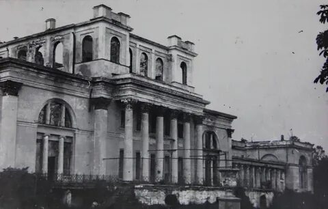Век гомель
