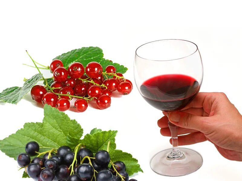 Черная смородина вино домашнее простой рецепт. Красное вино из черной смородины. Вино красная смородина. Вино из красной самародене. Вино из красной смородины.