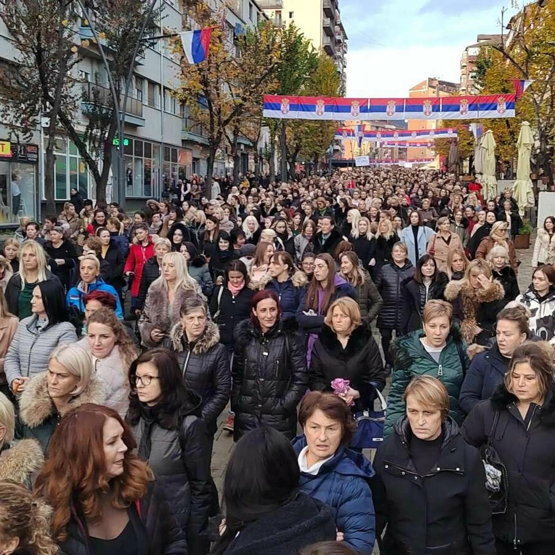 Митинг. Шествие. Протесты в Германии. Право на митинги. Новости сербии сайт