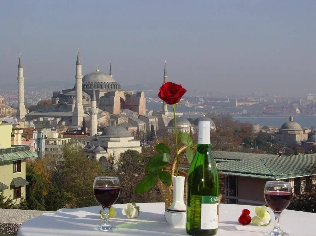 Стамбул гайс 0. Хали отель Стамбул. Ресторан Hagia Sophia Terrace Стамбул. Султанахмет Стамбул Топкапи. Hali Hotel 3 Султанахмет.