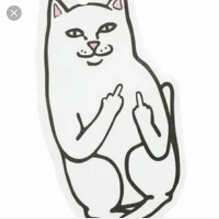 Кот с факом