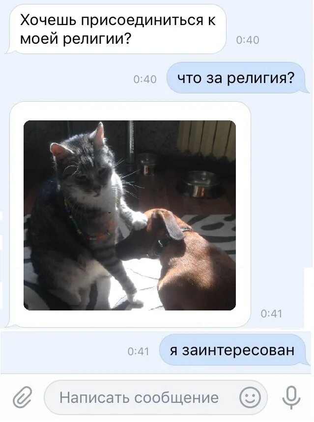 Желает присоединиться. Хочешь присоединиться к моей религии. я заинтересован в вашей религии. хочешь присоединиться к моей религии мем.