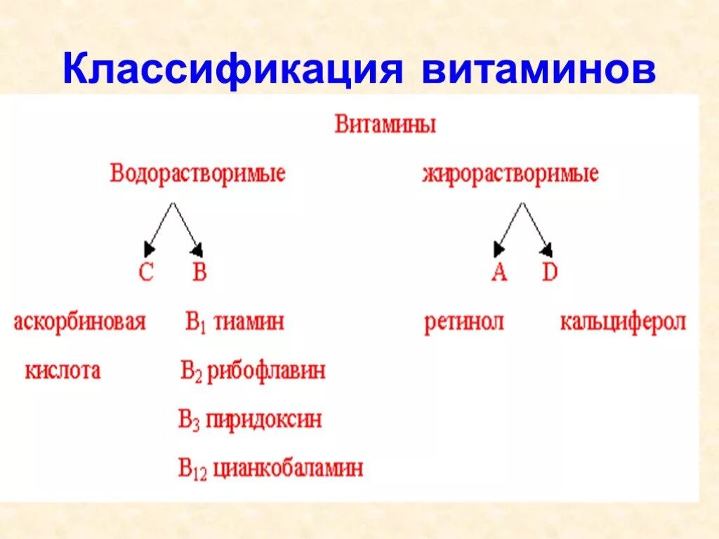 Классификация витаминов кратко. Классификация витаминов биология 8 класс. классификация витаминов по растворимости. классификация витаминов схема. классификация витаминов водорастворимые и жирорастворимые.