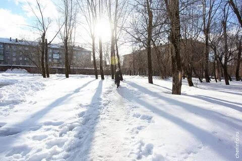 Погода на март 2024 череповец