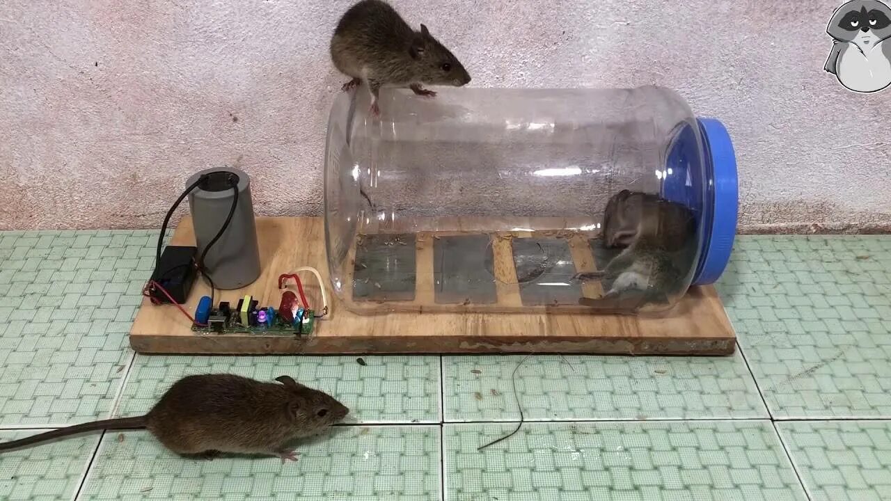 Самодельные мыши. Крысоловка электрическая Electric rat Trap. ЛОВУШКА для Криса. Крысоловка Цюрнера. Капкан для мышей.