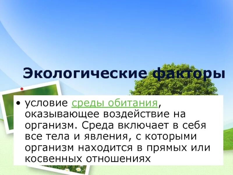 Характеристика комплекса экологических условий среды. Экологические факторы. Экологические факторы и условия среды. Организм и среда экологические факторы. Экологические факторы это в биологии.