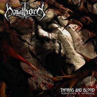 Песня bloody brazil
