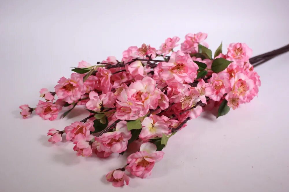 Cherry blossom купить. 72200 Сакура. Тайцзи цветы Сакура. Цветы Сакуры Геншин. A1010 Сакура.