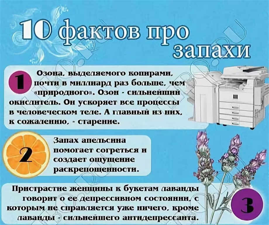 Повторяющиеся факты. Интересные факты о парфюме. Факты про духи. Интересныесфакты про Парфюм. Интересные факты о парфюмерии.