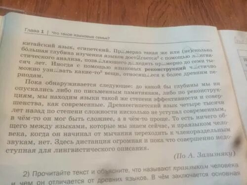 Спишите текст запишите числительные словами. Текст с числительными. Тексты с числительными для чтения. Текст с числительными словами. Текст с числительными записанными словами.