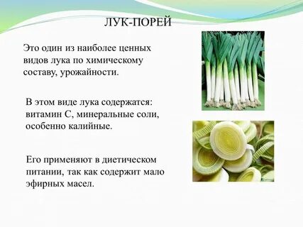 Зеленый лук свойства