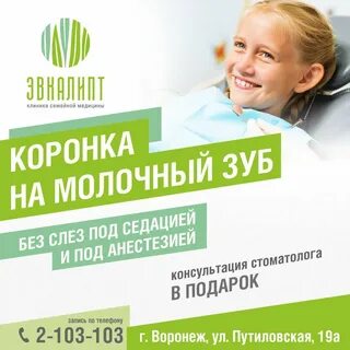 Эвкалипт воронеж телефон