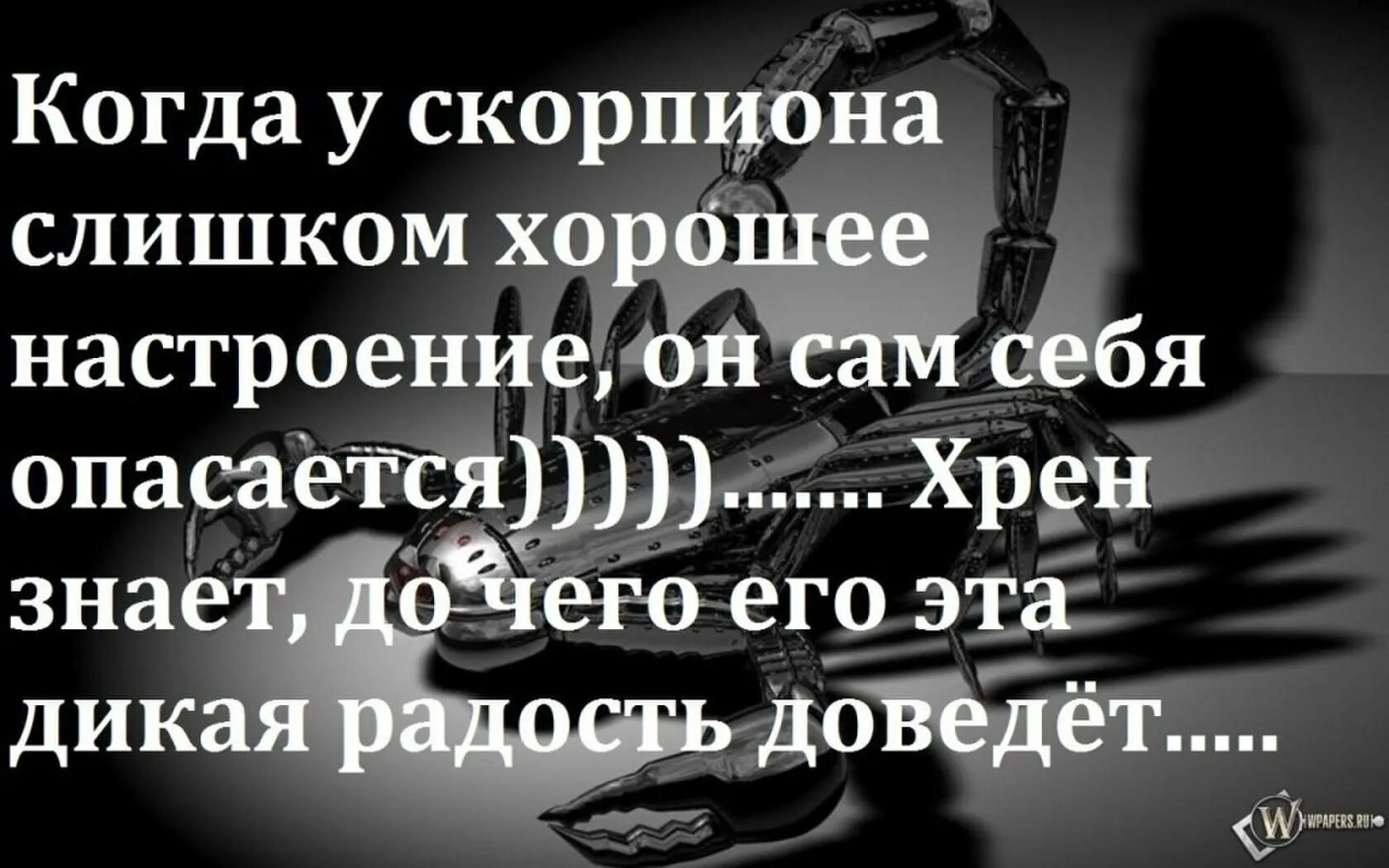 Хочу скорпиона мужчину. Скорпион цитаты. Афоризмы про скорпионов. Высказывания про скорпионов. Скорпион прикольные высказывания.