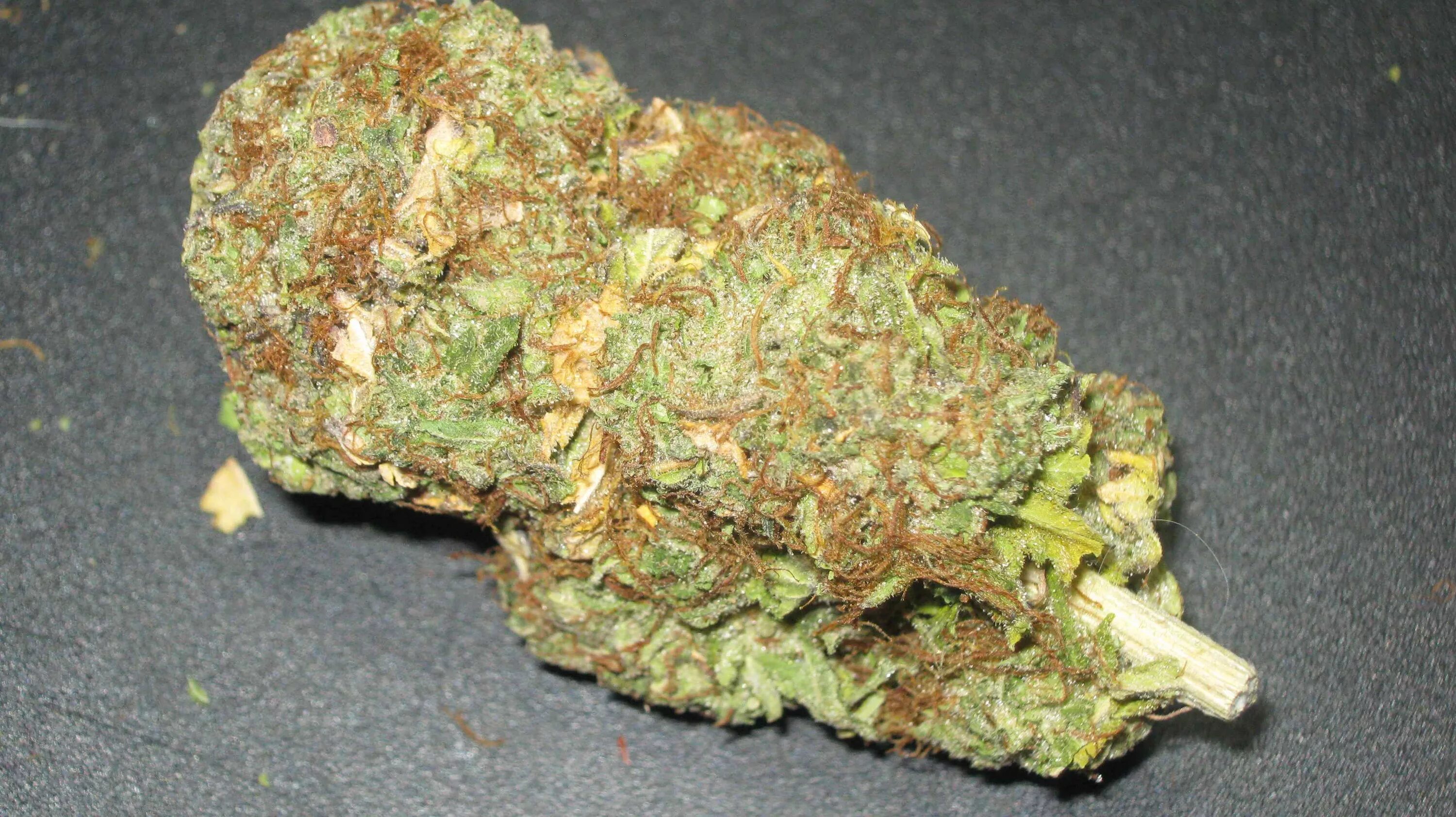 Chunk by chunk create. Chunk by chunk create