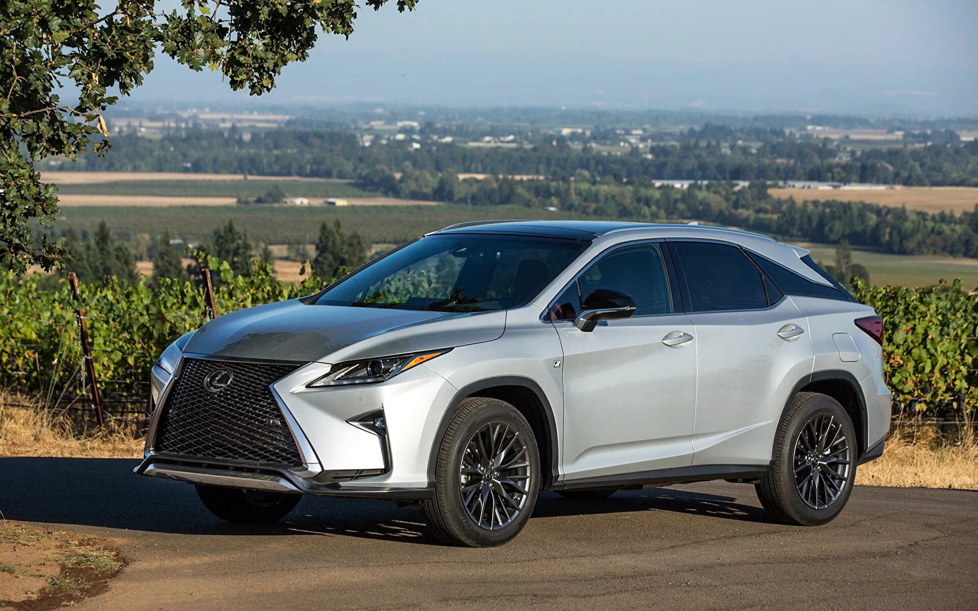 Lexus rx фото. Лексус rx350 f Sport 2018. Lexus rx350 f Sport 2019. Lexus rx350 f Sport 2017. Lexus RX F Sport 2016.