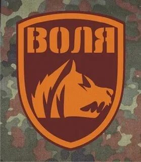 Воля сталкер