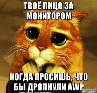 Дропнуть что это