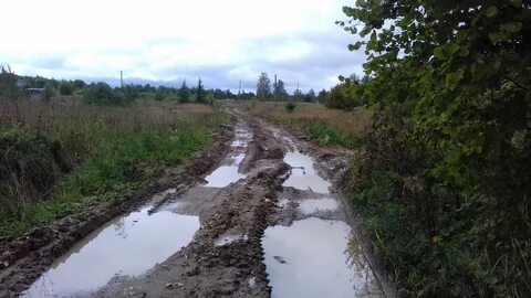 Погода в петушках на 14 дней