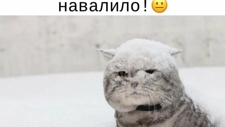 Опять метель какого ведь. Опять метель. опять зима опять метель. опять метель х. опять метель картинки.