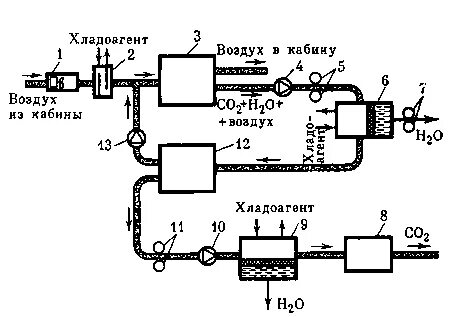 Очищают воздух от углекислого газа