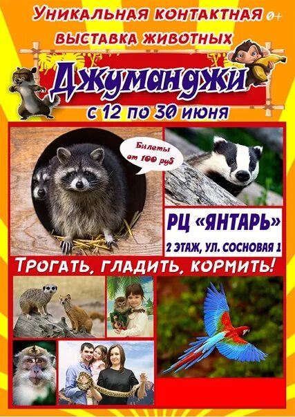 Выставка животных чебоксары. Выставка зверей в тц июне. Выставка животных афиша. Пункт передержки бездомных животных. Выставка животных чебоксары.