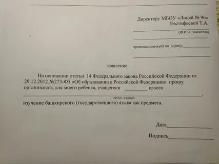 Заявление в спортивный кружок