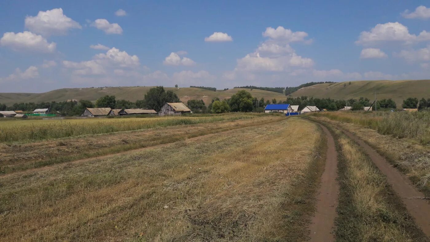 Село дмитриевка приморский край. Дмитриевка пролетарская улица. Погода дмитриевка новосибирская область. Погода дмитриевка новосибирская область. Дмитриевка смоленская область.