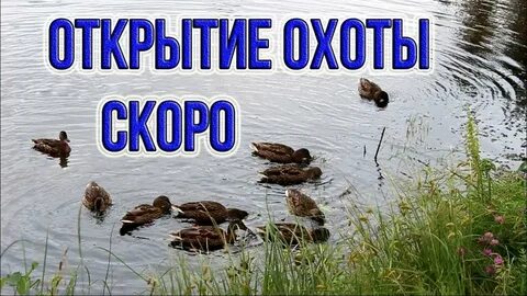 До 27 августа осталось
