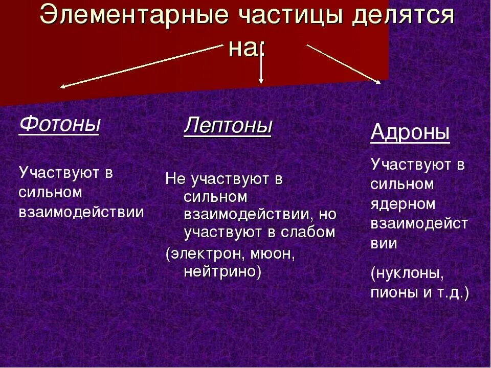 Какие есть частицы в физике