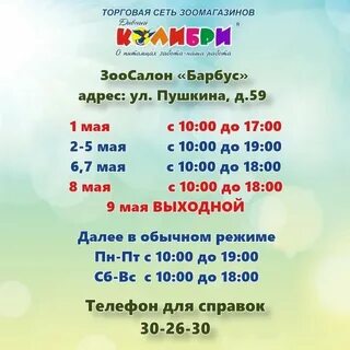 Колибри сыктывкар