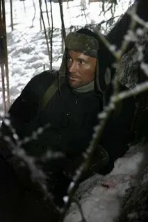 Волк 2009