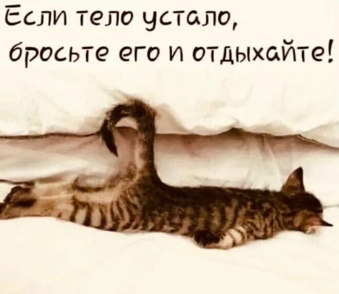 Отлично легла фото