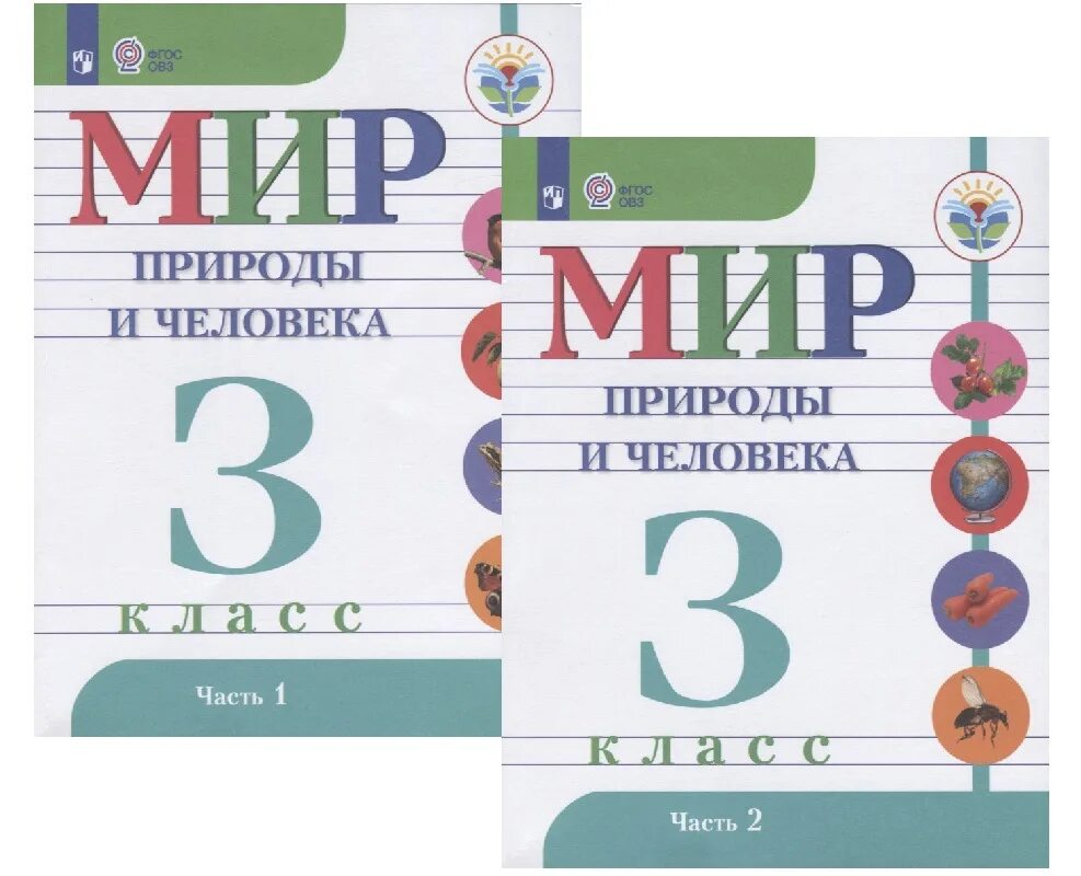 Учебники 3 класс ФГОС ОВЗ. Мирприродыичеловекарабочьятетрадь4классфгосовз. Мир природы и человека учебник. Мир природы и человека 3 класс учебник