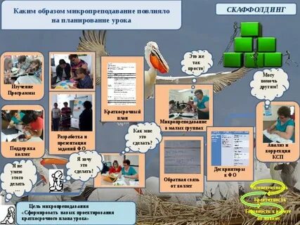 Урок естествознания в начальной школе