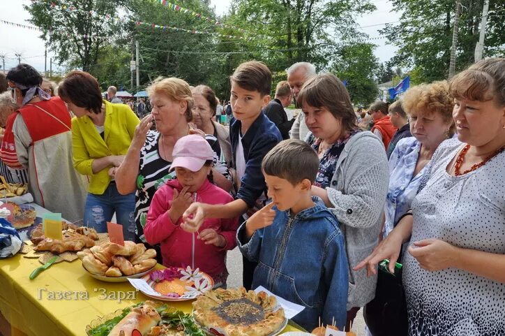 Ул кирова 100 медынь. Медынь калужская область. Медынь калужская область. Саломатинский пруд медынь. Прогноз погоды медынь калужская область на неделю.