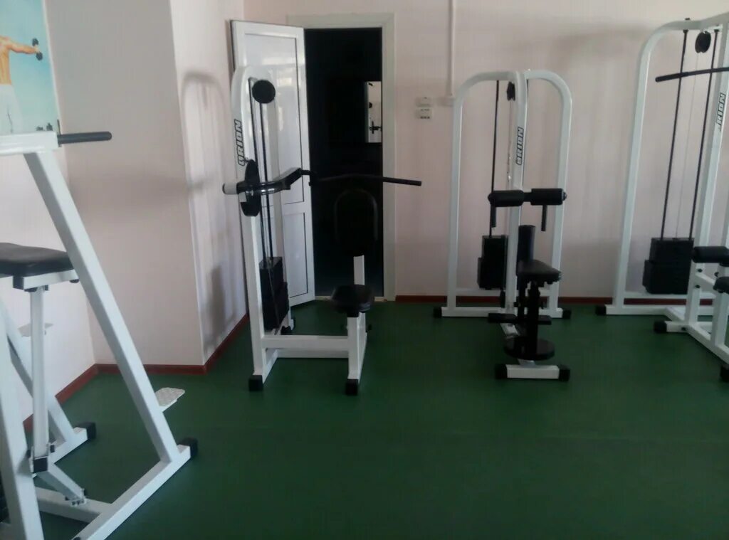 тренажёрный зал energym миасс. тренажерные залы миасс. фитнес зал прайм курган. филиал юургу миасс. тренажерный зал геркулес туймазы.