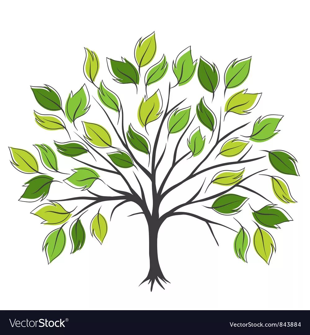 Baum und