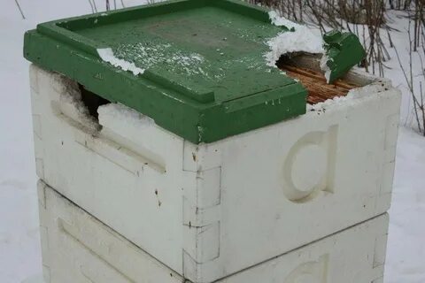 Ульи из пенополистирола