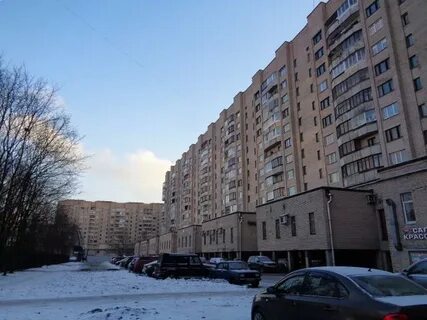 Морская 9 санкт петербург